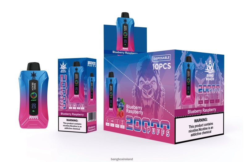 Bang Box Vape - Bang Beach 20000 Puffs Smart Screen Vape Blueberry Raspberry NV2H6V12