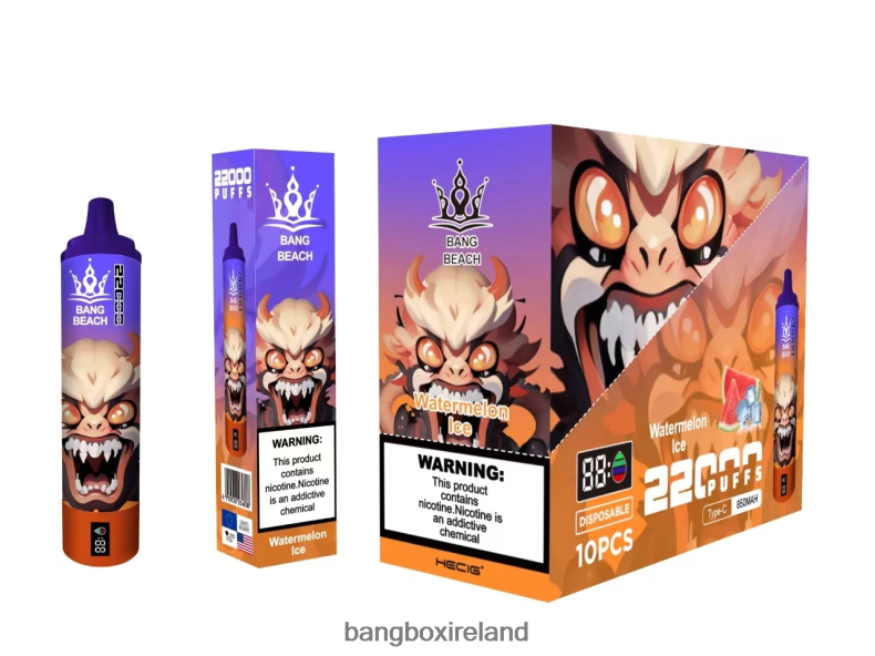 Bang Box Vape - Bang Beach 22000 Puffs Smart Screen Watermelon Ice NV2H6V22