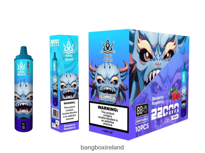 Bang Box Vape Review - Bang Beach 22000 Puffs Smart Screen Blueberry Raspberry NV2H6V14