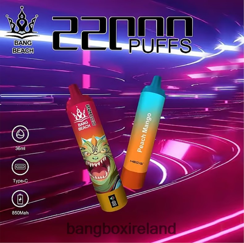 Bang Box Vape Review - Bang Beach 22000 Puffs Smart Screen Peach Mango NV2H6V24
