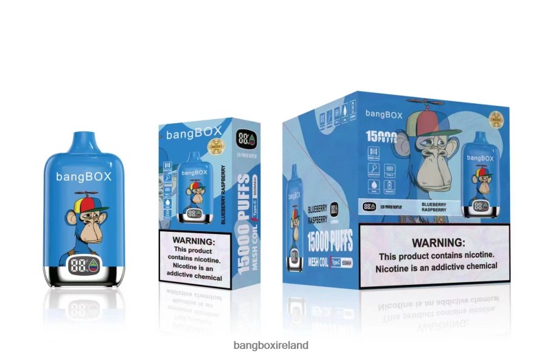 Bang Box Ireland - Bang Box 15000 Puffs Blueberry Raspberry NV2H6V46