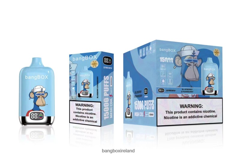 Bang Box Vape Price - Bang Box 15000 Puffs Blueberry Strawberry NV2H6V38