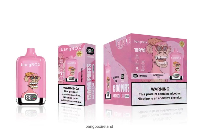 Vape Bang Box - Bang Box 15000 Puffs Watermelon Ice NV2H6V45