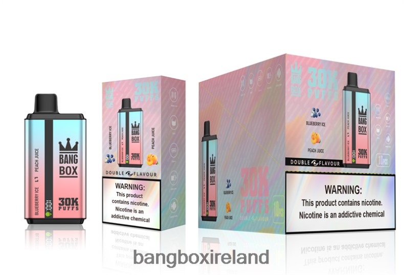 Bang Box Vape Price - Bang Box 30000 Puffs Dual Flavors Blueberry Ice & Peach Juice NV2H6V63